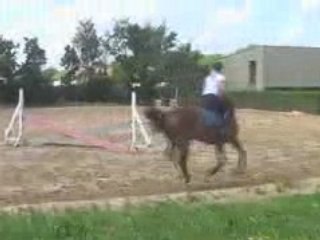 Naiva et moi  séance de saut le 15 mai 2008