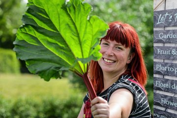 RHS Harlow Carr Gardens
