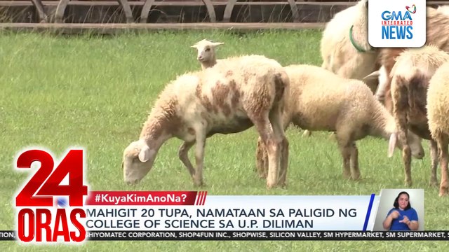 #KuyaKimAnoNa? Express (July 29 - Aug. 2, 2025) - Mahigit 20 tupa, pagala-gala sa... | 24 Oras