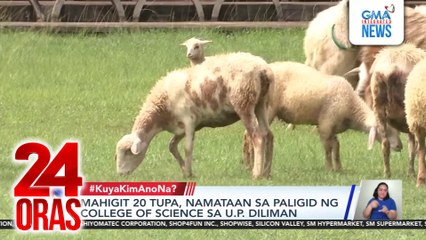 #KuyaKimAnoNa? Express (July 29 - Aug. 2, 2025) - Mahigit 20 tupa, pagala-gala sa... | 24 Oras