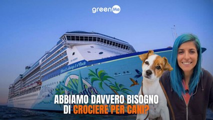 La prima crociera di lusso per cani sta per salpare