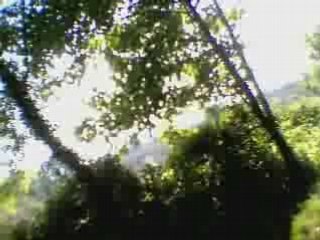 Sortie du 11-05-08 sur nanteuil (1)