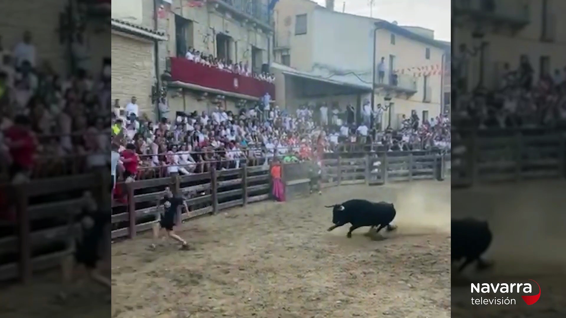Susto en Carcastillo, un toro capón salta el vallado