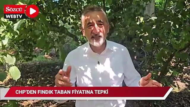 CHP'den fındık taban fiyatına tepki!