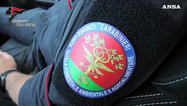 Bruciano 500 chili di cavi per recuperare il rame, due arresti a Palermo