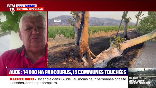 Incendie dans l'Aude: C'est une désolation comme si on était sur un champ lunaire , déplore le président de la communauté de communes Région Lézignanaise-Corbières-Minervois