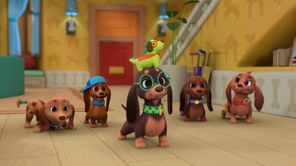 Bretzel et les bébés chiens