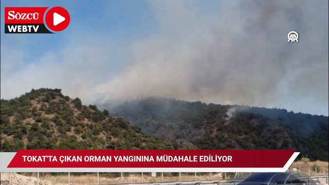 Tokat'ta çıkan orman yangınına müdahale ediliyor