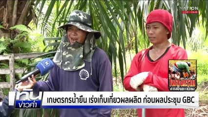 “เกษตรกรน้ำยืน” เร่งเก็บผลผลิต ก่อนผลถก GBC | เนชั่นทันข่าวค่ำ | 6 ส.ค.68  | PART 4