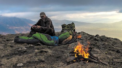 Marche avec les loups