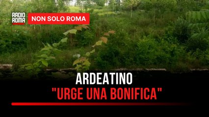 Ardeatino, l'ex punto verde qualità è una palude: "Rischio per la salute pubblica"