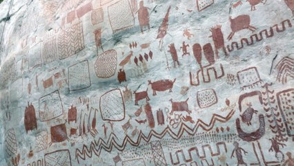 Les secrets des fresques d'Amazonie