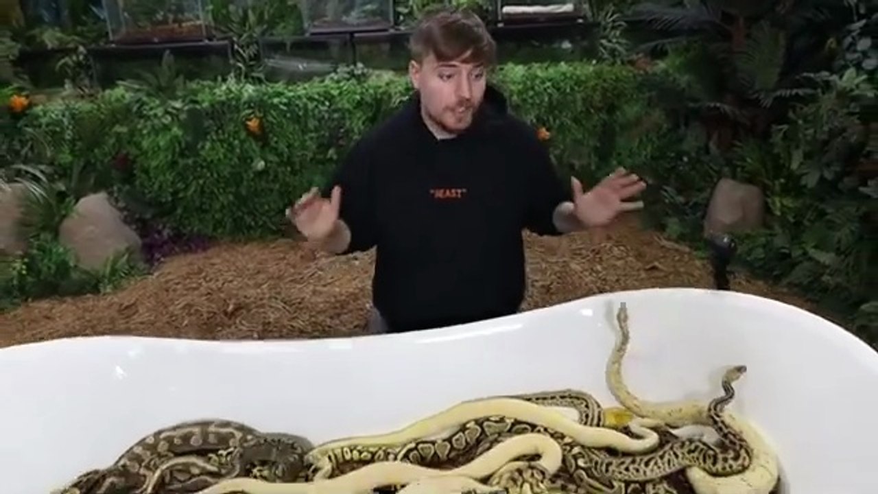 WOULD YOU SIT IN A TUB FULL OF SNAKES FOR $10,000 🤯 _ FT MR BEAST 😱