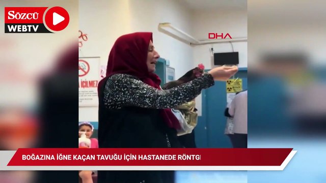 Boğazına iğne kaçan tavuğu için hastanede röntgen talebinde bulundu