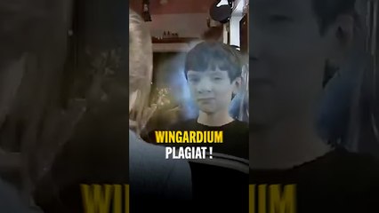 Le Harry Potter de Wish 😅 #harrypotter #plagiat #nanar