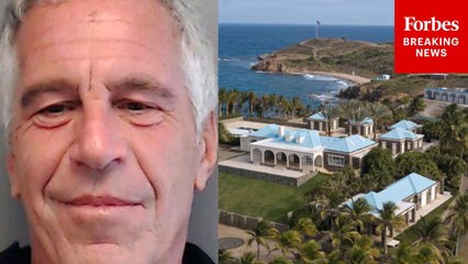 Contents Of 40+ Computers Seized On Epstein Island—This Is What Might Be On Them: True Crime Author