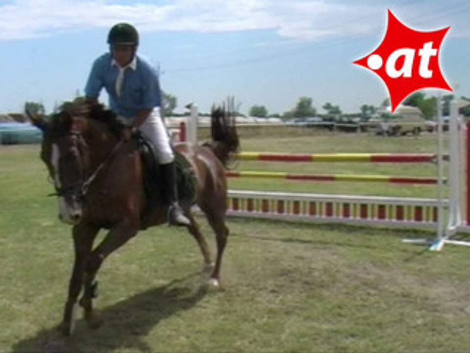 Franz Groß, Springreiten, Burgenland (2007-060)