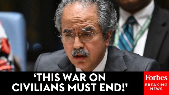 'The Delivery Of Humanitarian Aid Has Become Deadly': Pakistan UN Rep Pins Gaza Aid Crisis On Israel