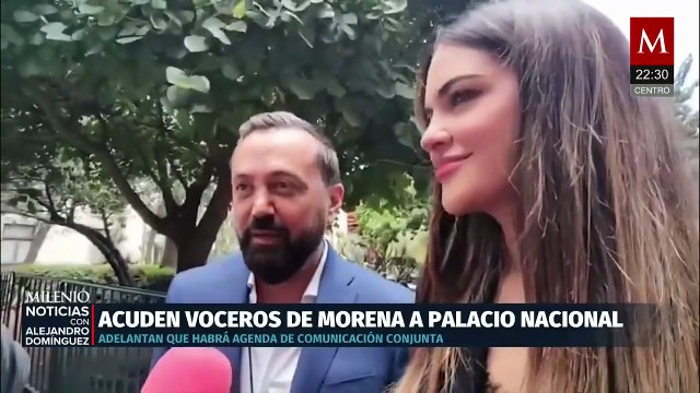 Voceros de Morena en el Congreso se reúnen con Claudia Sheinbaum en Palacio Nacional