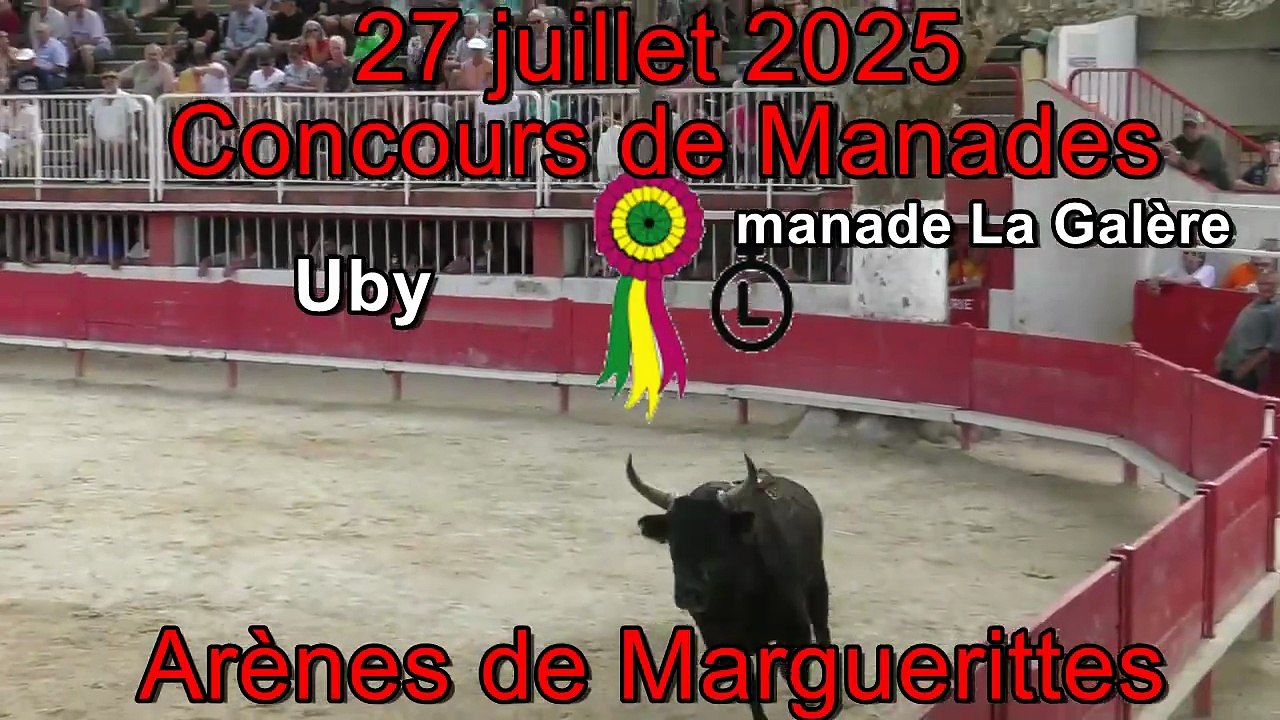 2025 07 27 Uby