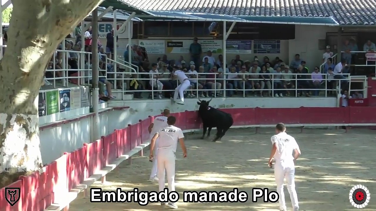2025 07 29 Embrigado