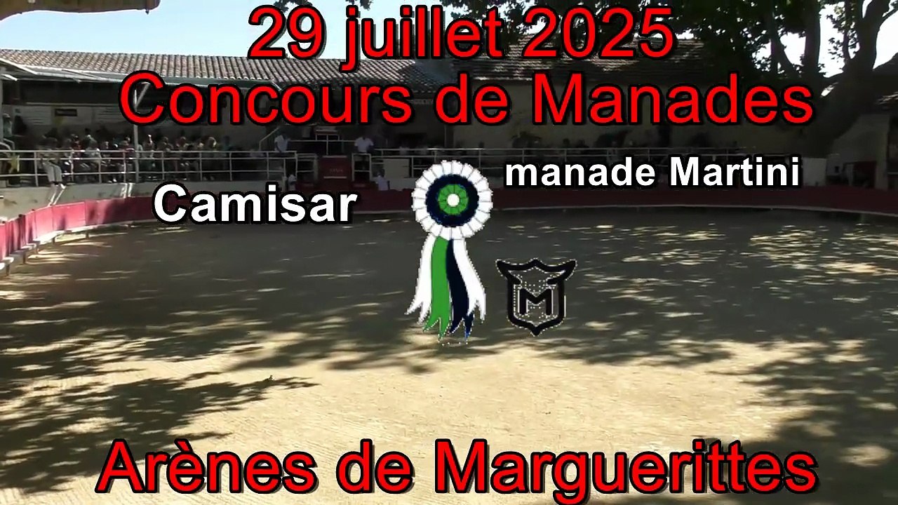 2025 07 29 Camisar