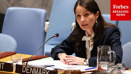 Denmark UN Representative Expresses 'Solidarity' With Hamas's Hostages While Decrying Israel's Actions In Gaza