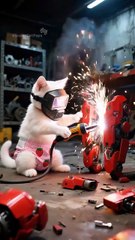 🐱💔✨kitten was driven out of the house by its father, but saved the father at a critical moment