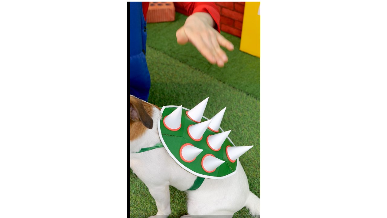 Magic Gadget Calms Angry Dog 🐶💆 Mario Saves the Day!