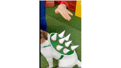 Magic Gadget Calms Angry Dog 🐶💆 Mario Saves the Day!