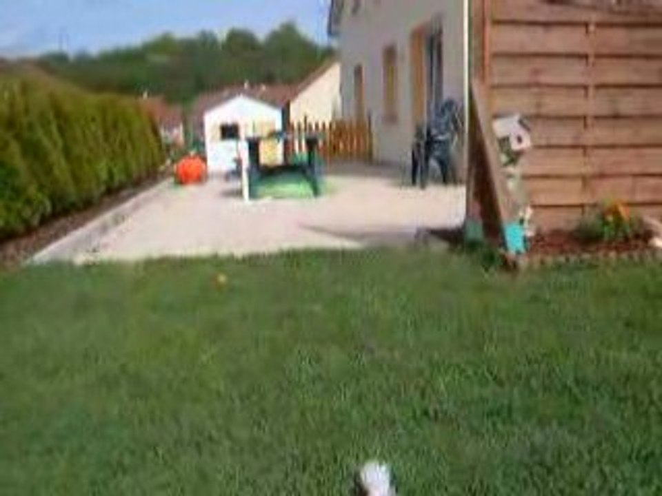 DSCF1088