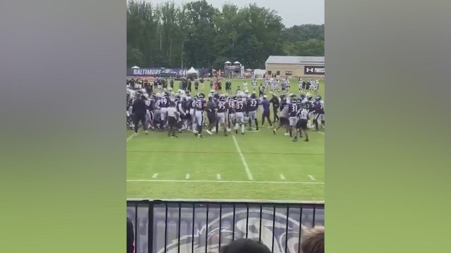 BRUTAL FIGHT BREAKS OUT: Ravens and Colts Throw Fists in Practice MELTDOWN