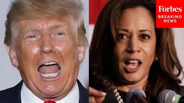 'That's Kamala!': Trump Lobs Attack On Kamala Harris Over Her Record As 'Border Czar'