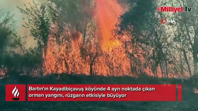 Bartın'da 4 ayrı noktada orman yangını! Ekipler havadan ve karadan müdahale ediyor