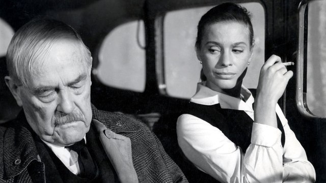 Les fraises sauvages