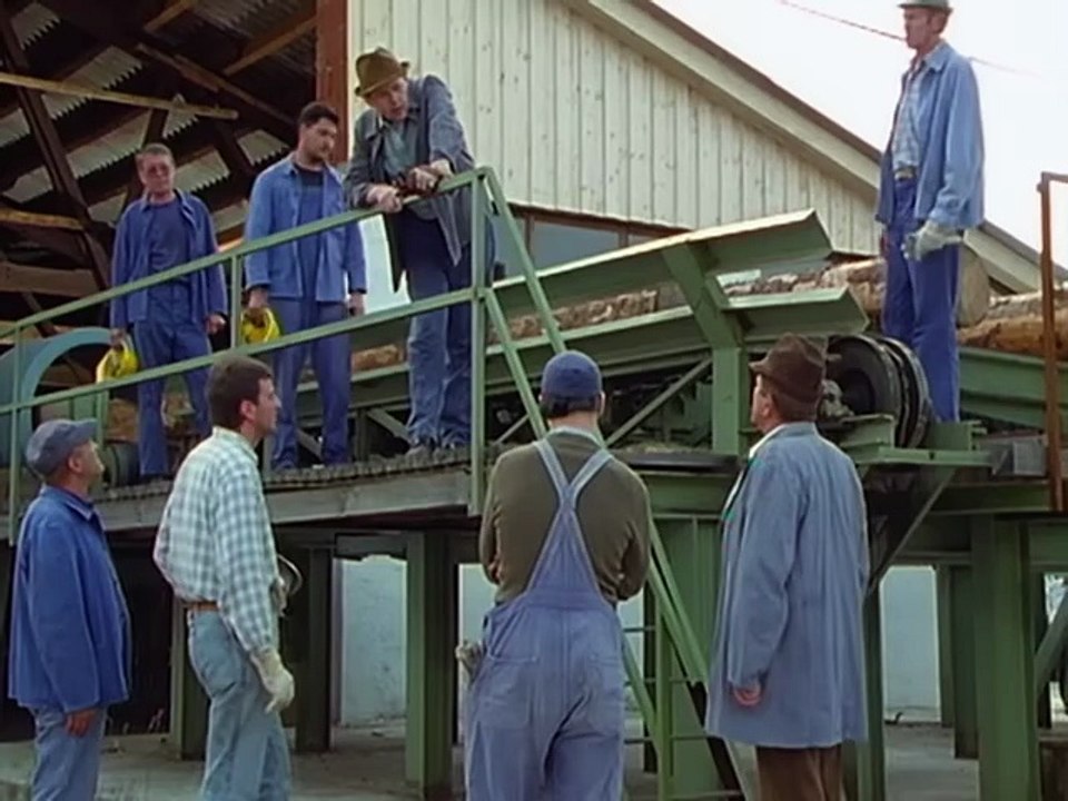 Derrick S19E12 Kein teurer Toter