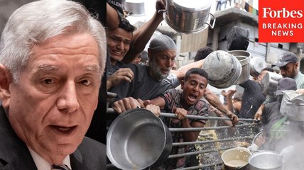 'Man-Made Humanitarian Tragedy': UN Security Council President Issues Dire Warning Over Gaza Conditions