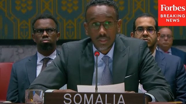 'Root Cause Of The Crisis Lie In Decades Of Occupation': Somalia UN Rep Rips Israel Over Gaza War