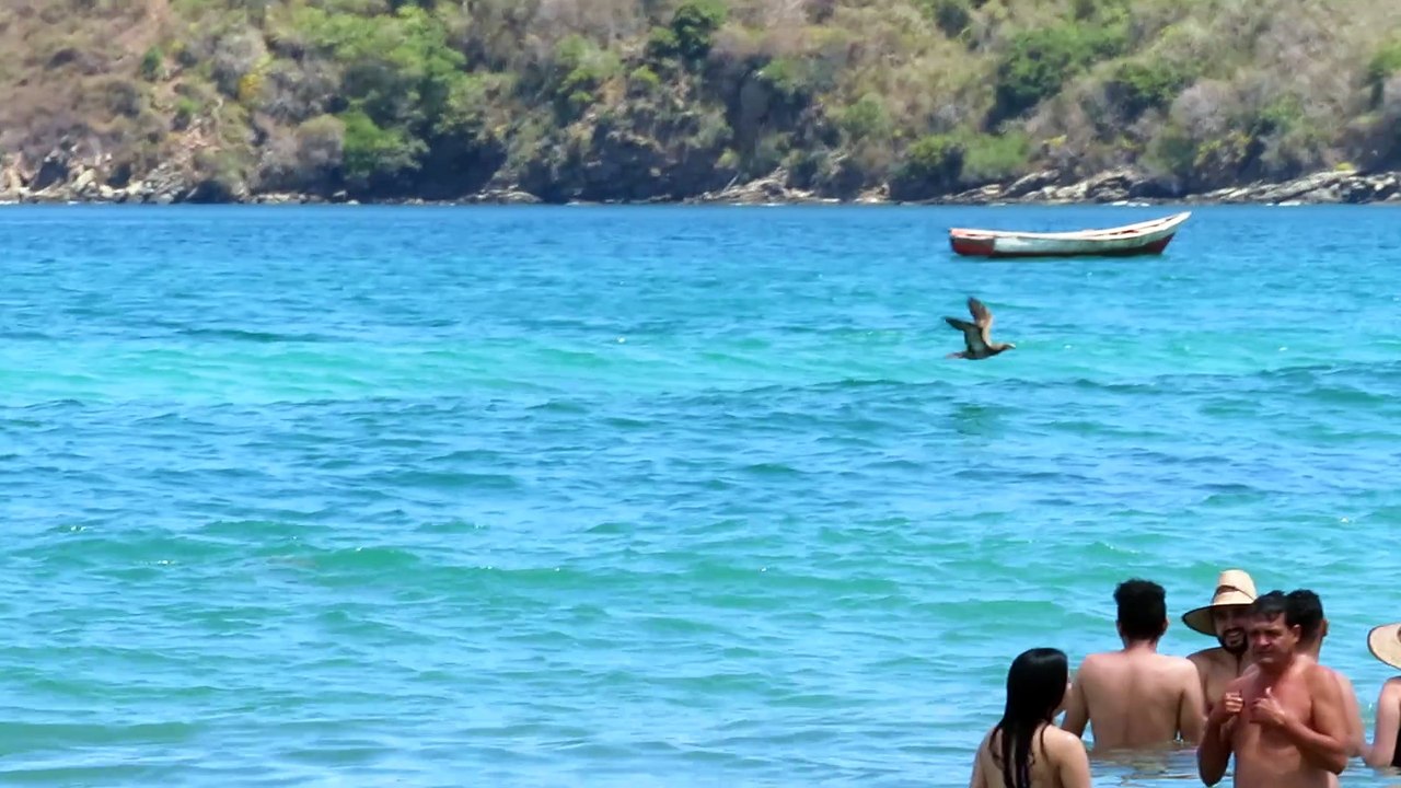 Gaviota