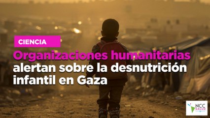 Organizaciones humanitarias alertan sobre la desnutrición infantil en Gaza