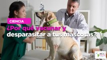 ¿Por qué vacunar y desparasitar a tus mascotas?