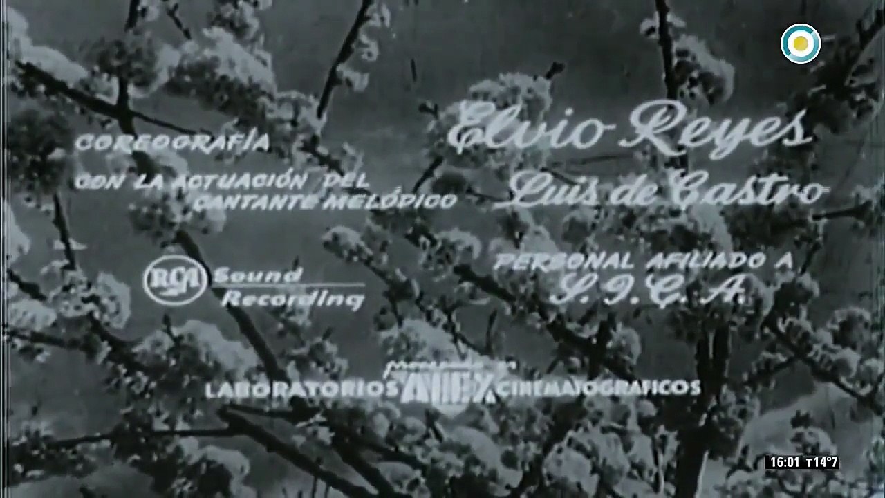 Amor a primera vista (Leo Fleider, 1956) - Pelí...