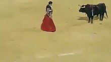 arrebato morante en Palma
