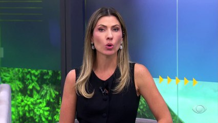 Mãe impede sequestro de criança de 5 anos no interior de São Paulo