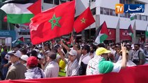 المغرب: دعم فلسطين في العلن ومد اليد للكيان في السر.. المخزن يتفنن في التطبيع