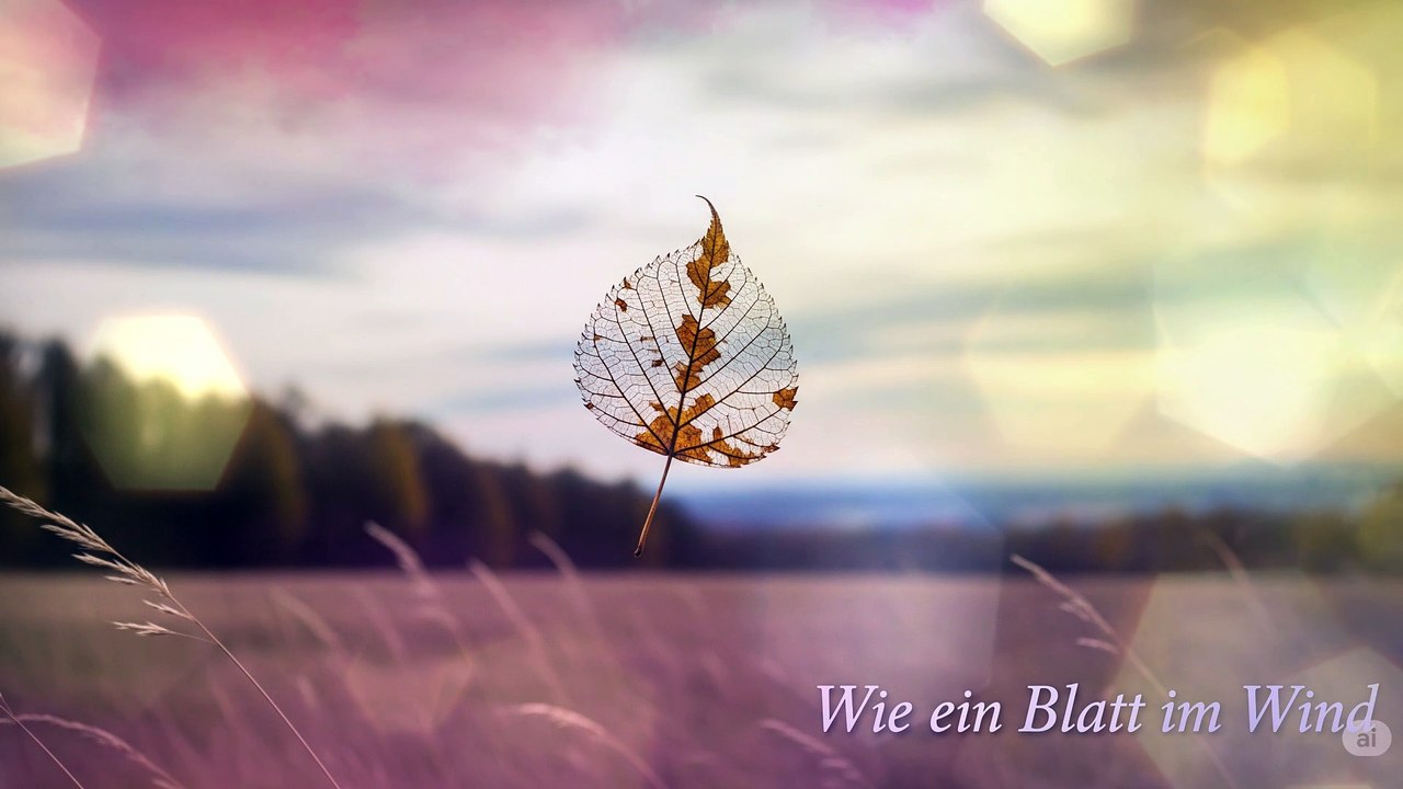 Wie ein Blatt im Wind