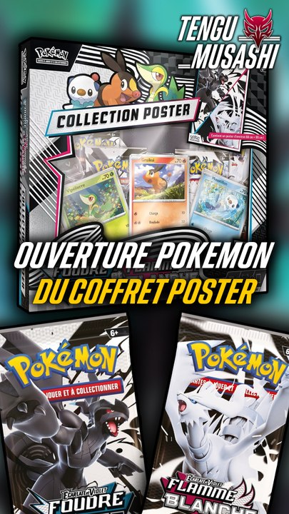 Ouverture du Coffret Poster de Pokémon Noir Etincelle & Flamme Blanche #2