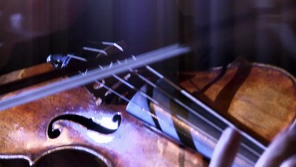 Australian Chamber Orchestra (shorts)