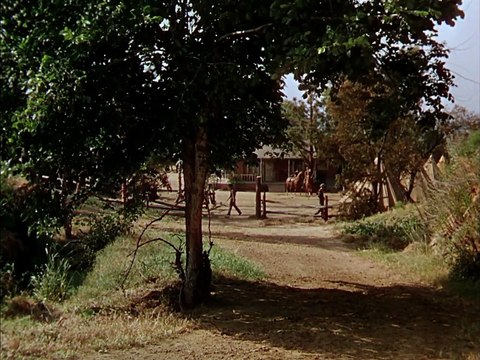 Cavaleiros da Bandeira Negra (1950) 1080p BluRay Dublado