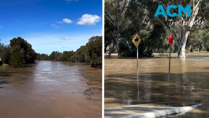 Narrabri community evacuated as flooding hits region